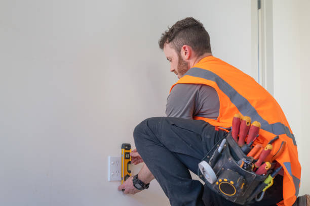 Best Affordable Electrician  in Ferrysburg, MI